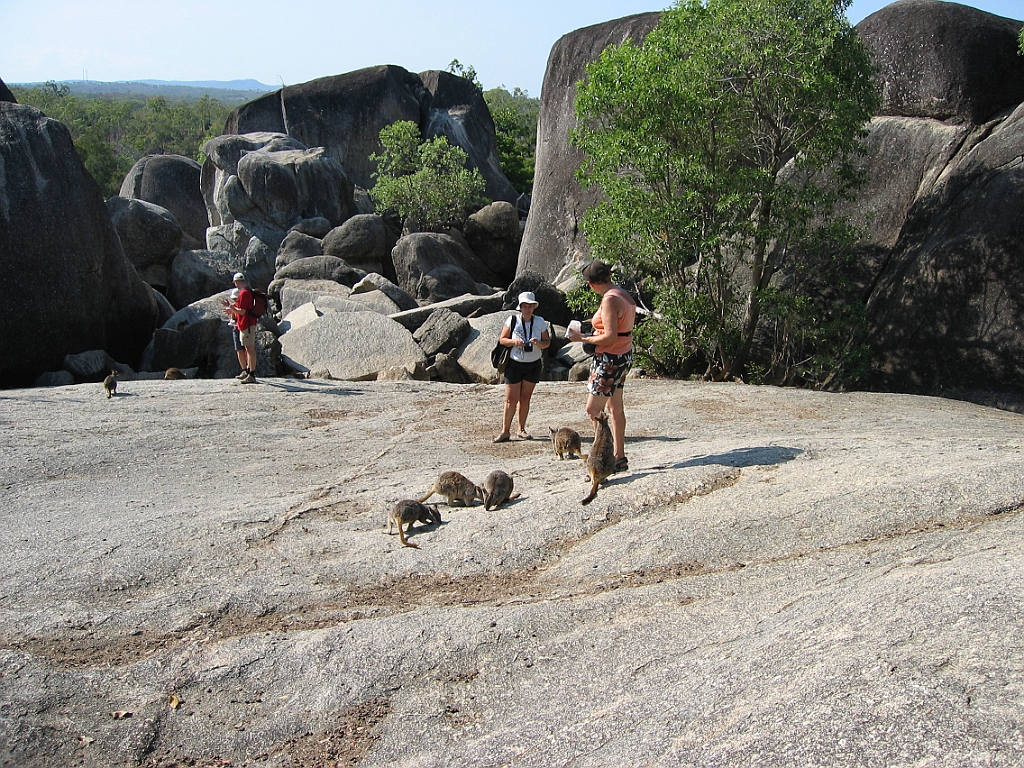 082 Granite Gorge.jpg